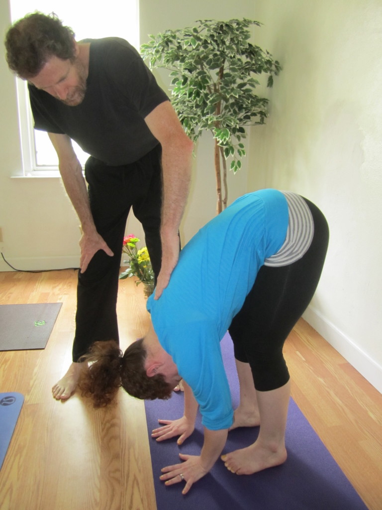 It is a myth that with enough effort, the spine will come into a straight position. This posture demonstrates that truth.  Even from a standing forward fold, where the hamstrings are loose, the knees stay bent and the weight shifts forward, do we see that the spine is still slightly rounded. The true purpose of seated forward fold positions is to open the entire backside of the body.  When performed correctly, One can feel a unity and support throughout the entire back allowing the body to come into balance, well-being and JOY!. Notice the stretch all the way from the heel chords to the crown of the head.