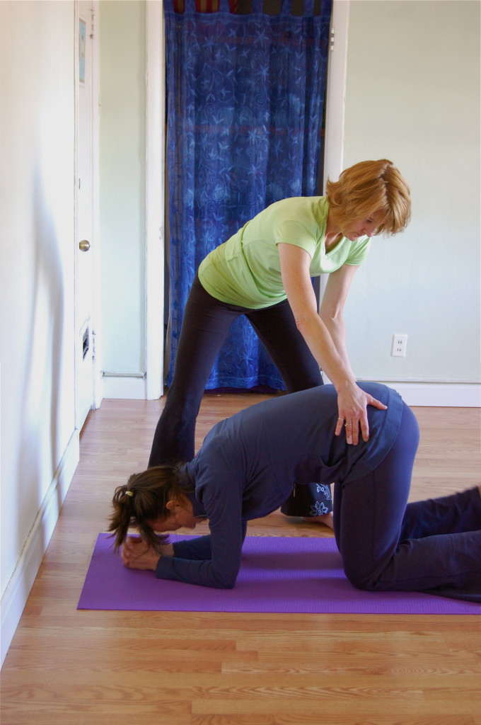 Handstand or Four Arm Balance begins always with the wall. We come to the wall as a support to expand playfully into the journey of turning upside down. In order to know if you are ready to practice handstand or four arm balance, first make sure you can first do Downward Dog with arms and torso in one line and also that you are able to lower your body into Plank without resting the chest or legs on the floor.