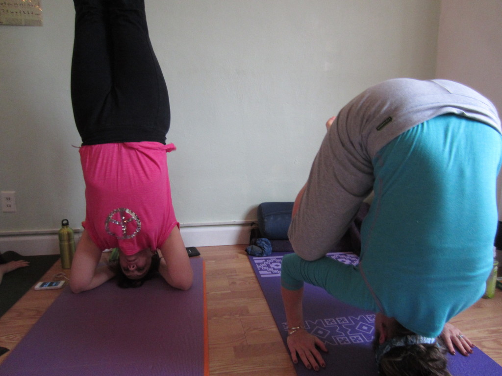 In the headstand, fingers are interlaced, with the elbows in shoulder distance and the wrists lifted up strongly. The crown of the head is found by placing the thumbs to the ears and taking the middle fingers above the head. This is the correct placement of the head.  