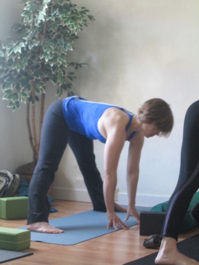 Prasarita Padottonasana Step to the long side of the mat. Bring your arms extended from the shoulders. Place the feet squarely under the wrists about 2-3 feet apart. Keep feet parallel to one another and activate the legs deeply. Extend the torso forwarding supporting a long spine using the power of the legs. Modification: two blocks under the arms Benefits: Great for heart health supporting strong and long energized legs.